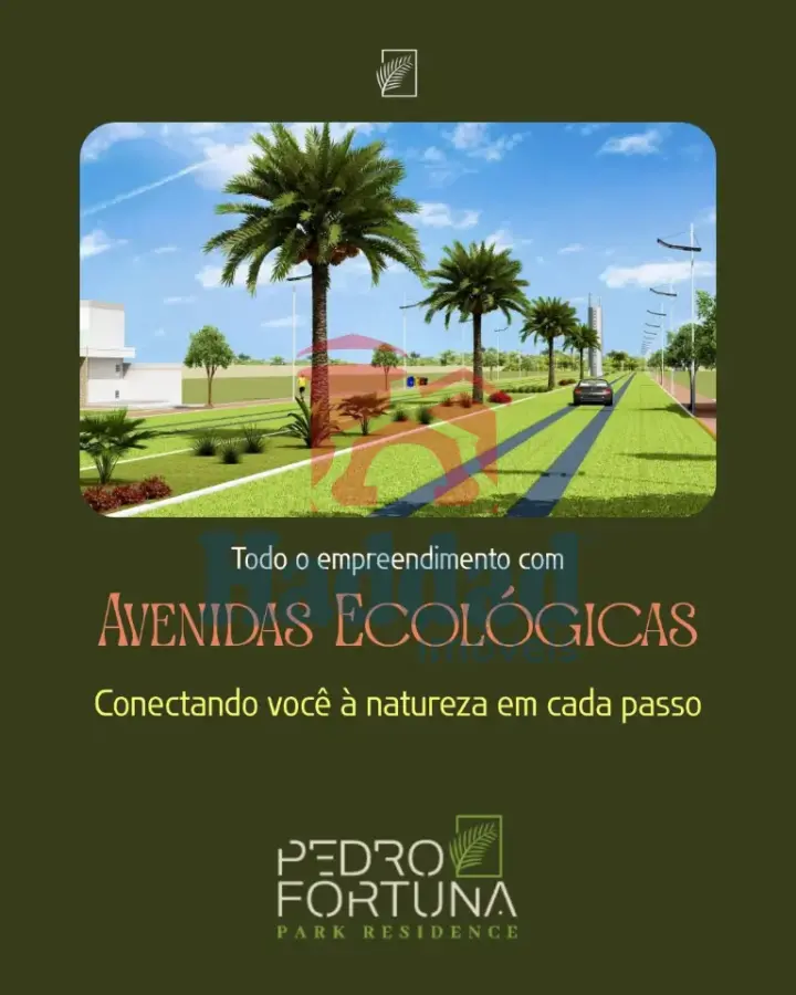 CONDOMINIO DE CHACARAS PROXIMO A CIDADE, BIRIGUI SP Ref: 11557 - Imagem do WhatsApp de 2025-06-13 à(s) 14
