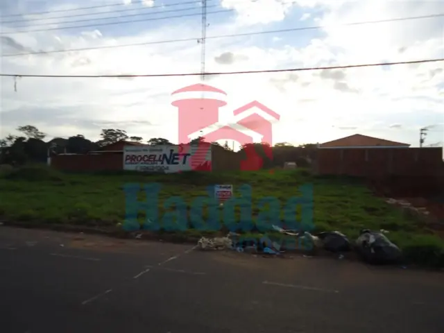 LOTES COMERCIAIS PARA VENDA Ref: 11906 - DSC05857