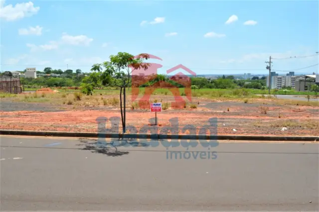 PARQUE DAS ARVORES 2 – TERENO MUITO BEM LOCALIZADO, QUITADO, 250 M² DE ÁREA Ref: 13024