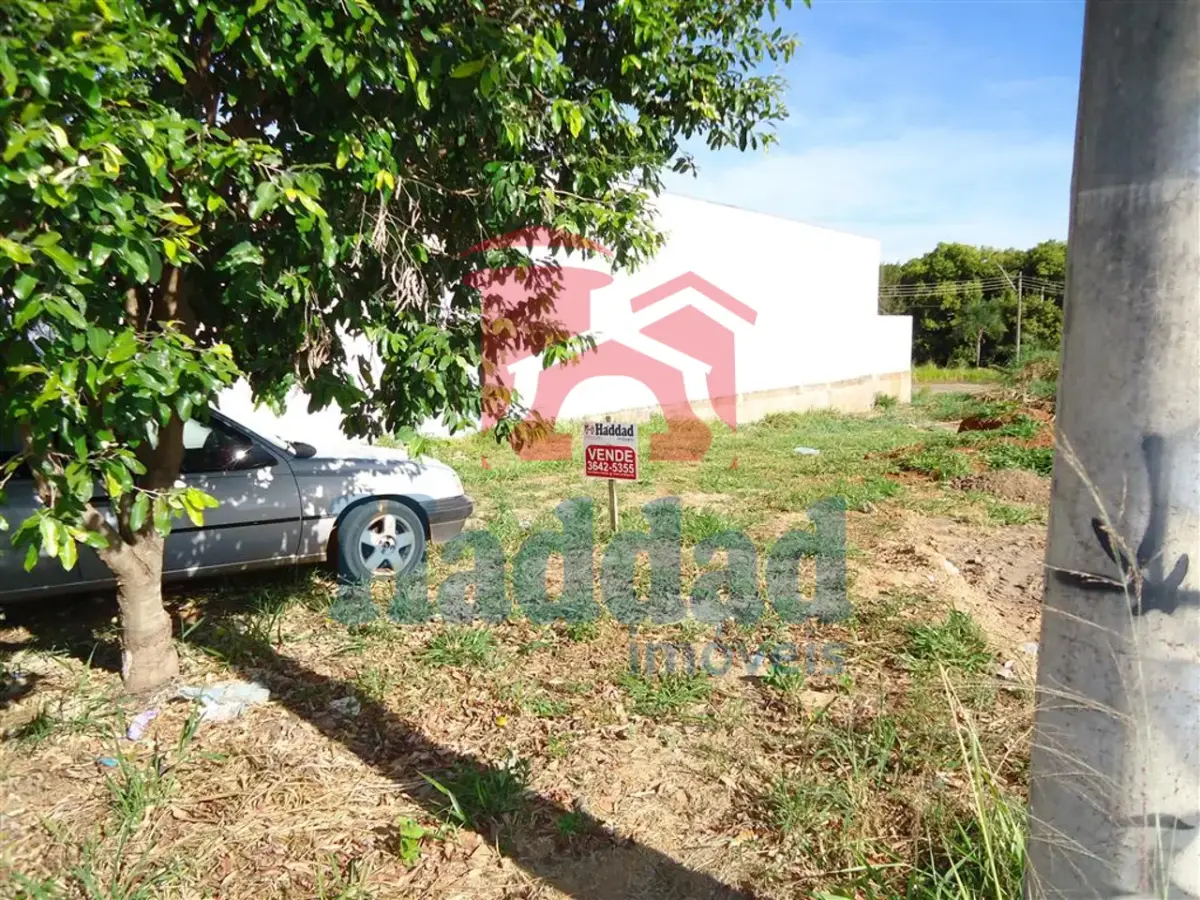 ÓTIMO LOTE 300m² PARA VENDA Ref: 11920 - DSC06595