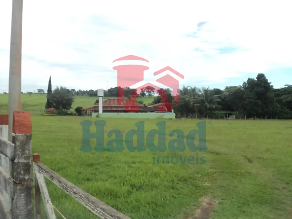 Referência: 8325 - DSC07018