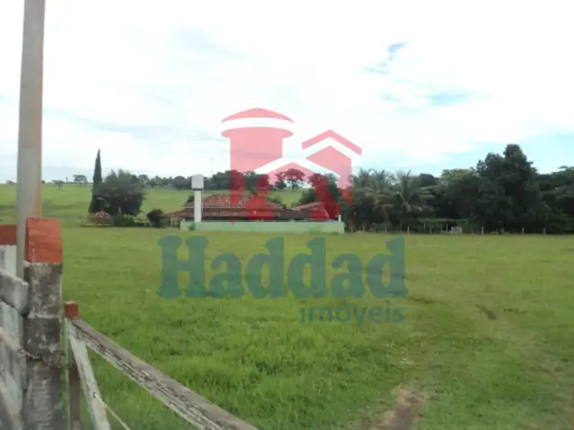 Referência: 8325 - DSC07018