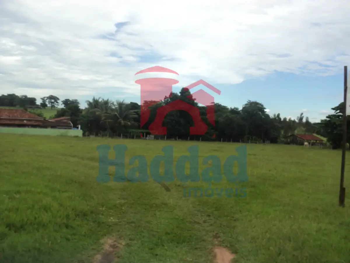 Referência: 8325 - DSC07020