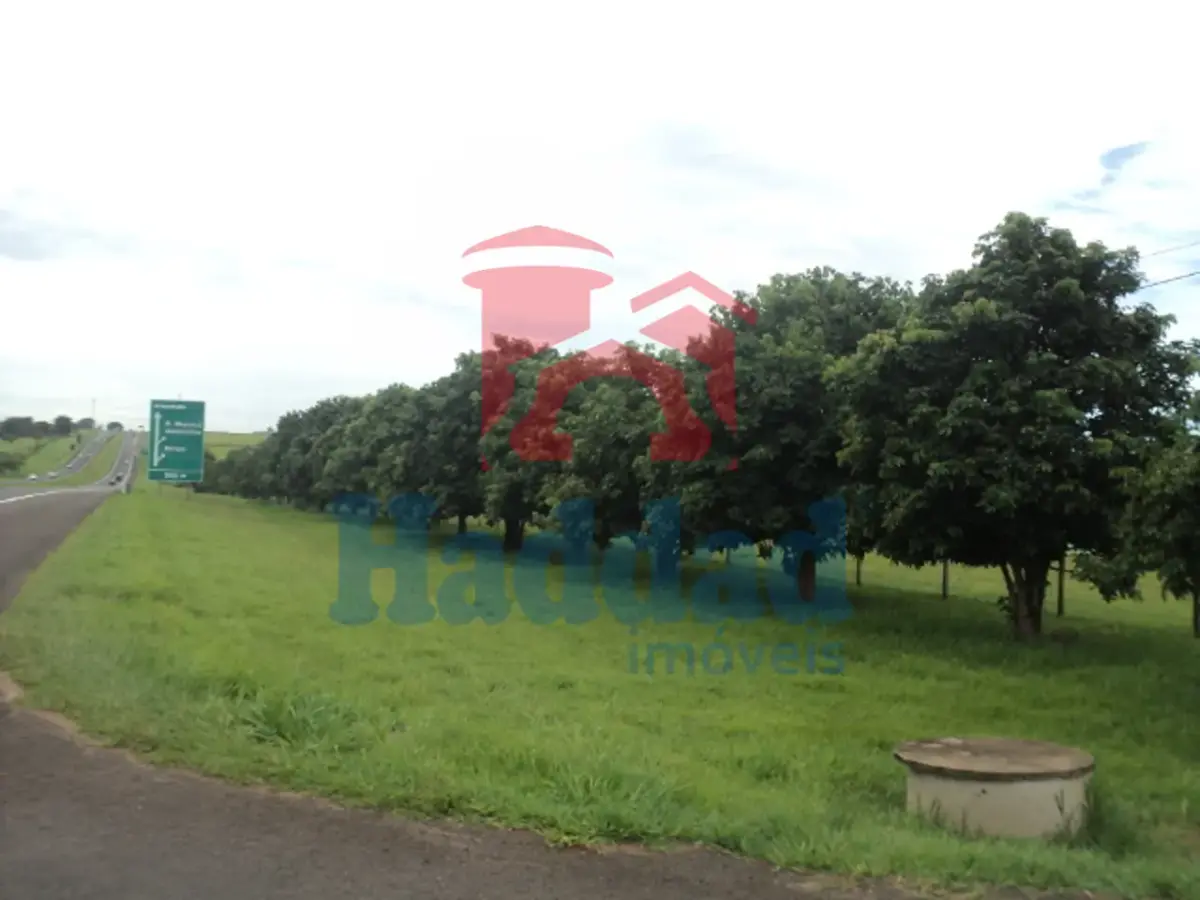 Referência: 8325 - DSC07021