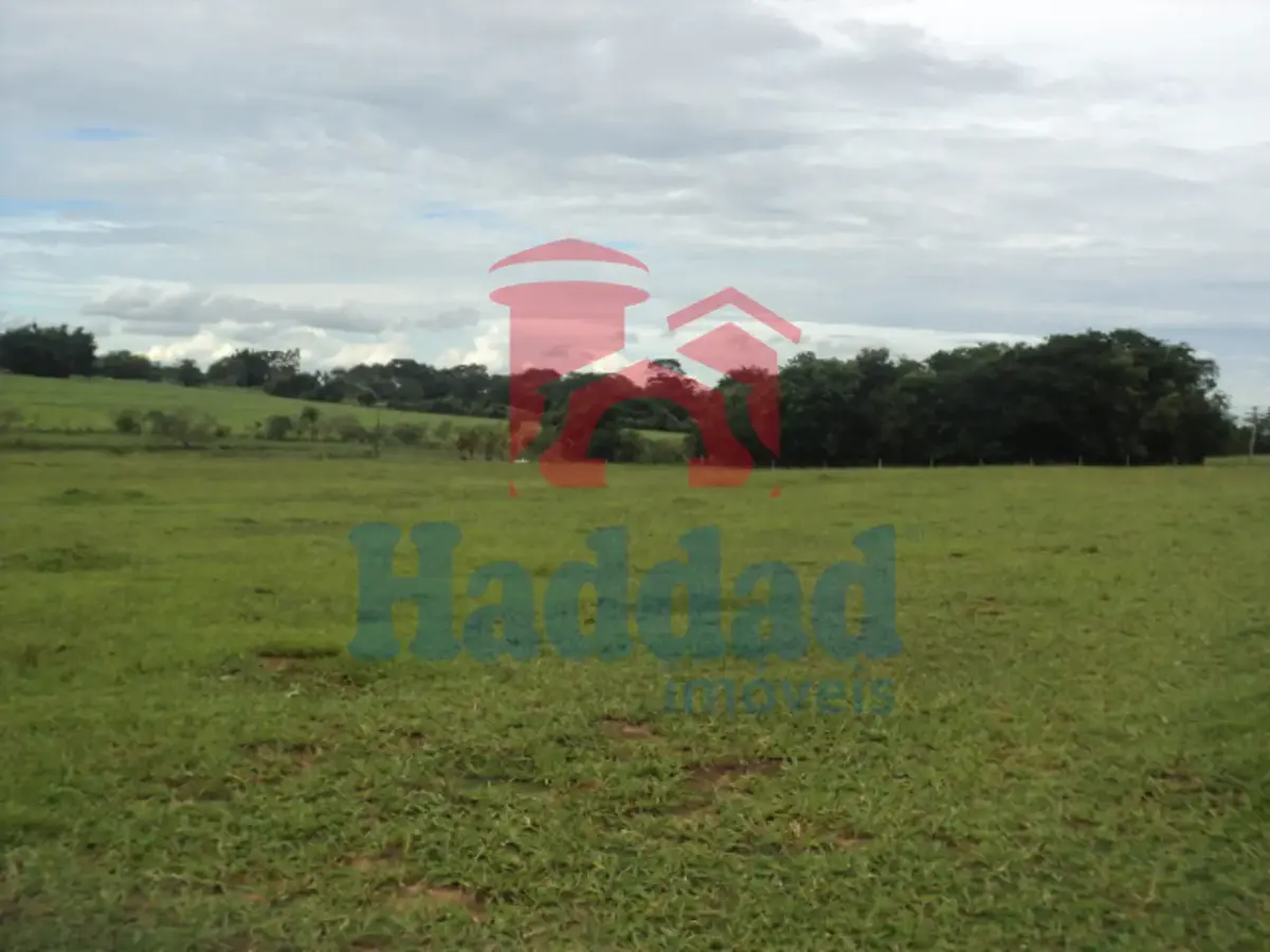 Referência: 8325 - DSC07027