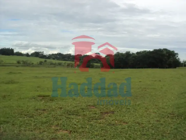 Referência: 8325 - DSC07027
