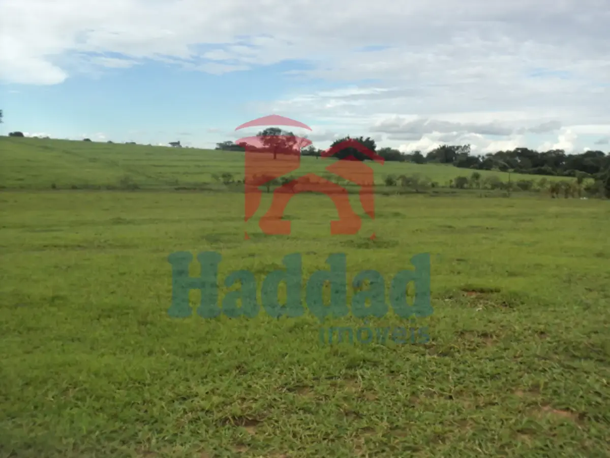 Referência: 8325 - DSC07028