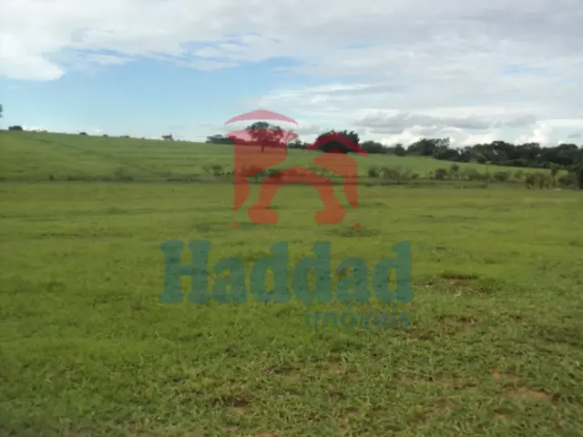 Referência: 8325 - DSC07028