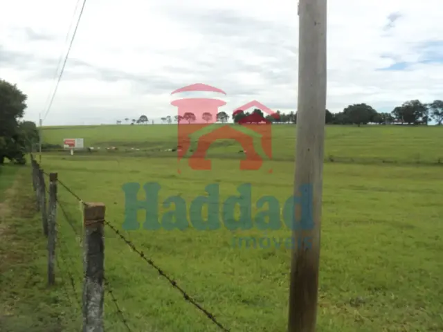 Referência: 8325 - DSC07029