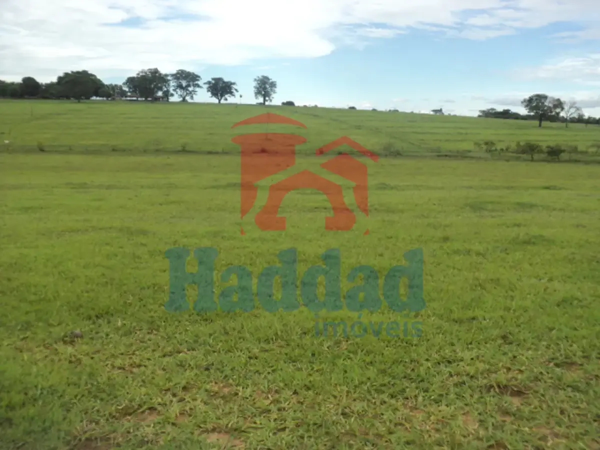 Referência: 8325 - DSC07030