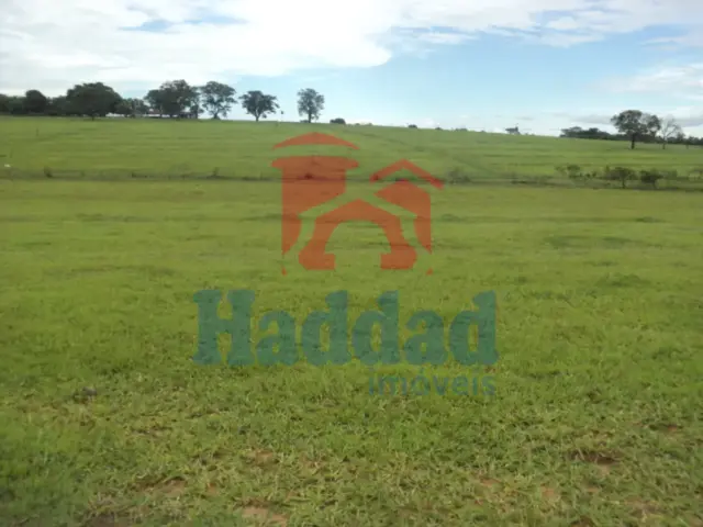 Referência: 8325 - DSC07030